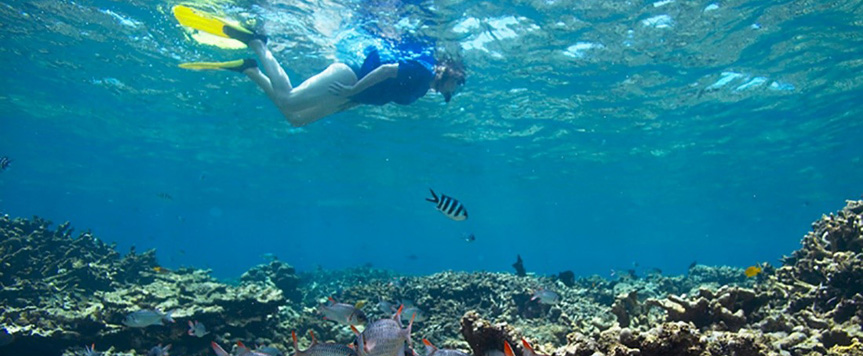 Snorkelling
